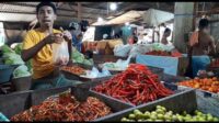 Pedas! Harga Cabai Tembus Rp 120 Ribu Per Kilogram