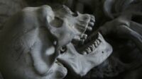 Penemuan Tengkorak Misterius di Duren Sawit, Diduga Sudah Tersimpan Sejak 2011