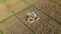 Teknologi dan Ilmu Pertanian Masuk Sawah, Learning Farm Ubah Nasib Petani