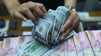 BI Ungkap Uang Primer per Mei Capai Rp 1.939,1 Triliun