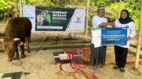 PNM dan BAZNAS Antar Kurban dari Donasi Karyawan hingga ke Ujung Negeri
