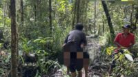 Tak Cuma Bunuh Anggota TNI, OPM di Yahukimo Juga Bacok Warga Sipil hingga Tewas