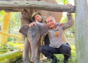 Kapolda Riau Beri Nama Anak Gajah Tesso Nilo ‘Nona Seroja’, Ada Makna Mendalam di Baliknya