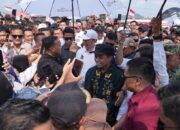 Jokowi Kunjungi NTT Selama Tiga Hari, Sambutan Masyarakat Diprediksi Meriah