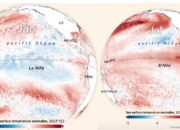 El Nino Makin Kuat, BMKG Ungkap Kondisi Cuaca Indonesia Terkini