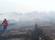 Dari Udara hingga Darat Seluruh Kekuatan Terus Bergerak
