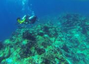 Sudah 6 Hari Dicari, Wisatawan Malaysia Hilang saat Diving di Perairan Sabang Belum Ditemukan