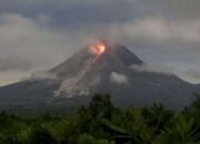 Malam-malam Gunung Merapi Luncurkan Awan Panas Sejauh 2 Kilometer
