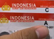 Mesin Cetak SIM Mandiri, Lexus Rp80 Miliar, hingga BYD Atto 1 Generasi Baru