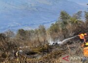 Kobaran Api di Jemplang Kawasan Bromo Telah Padam