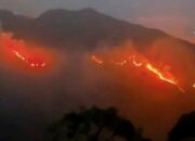 Gunung Rinjani Kebakaran, Luasnya Capai 589,23 Hektare